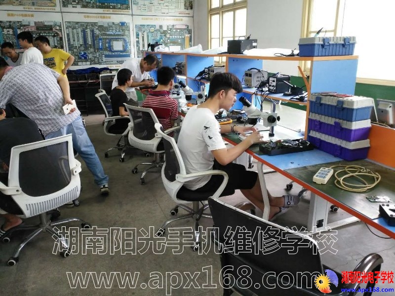 �ֻ�ά����ѵ